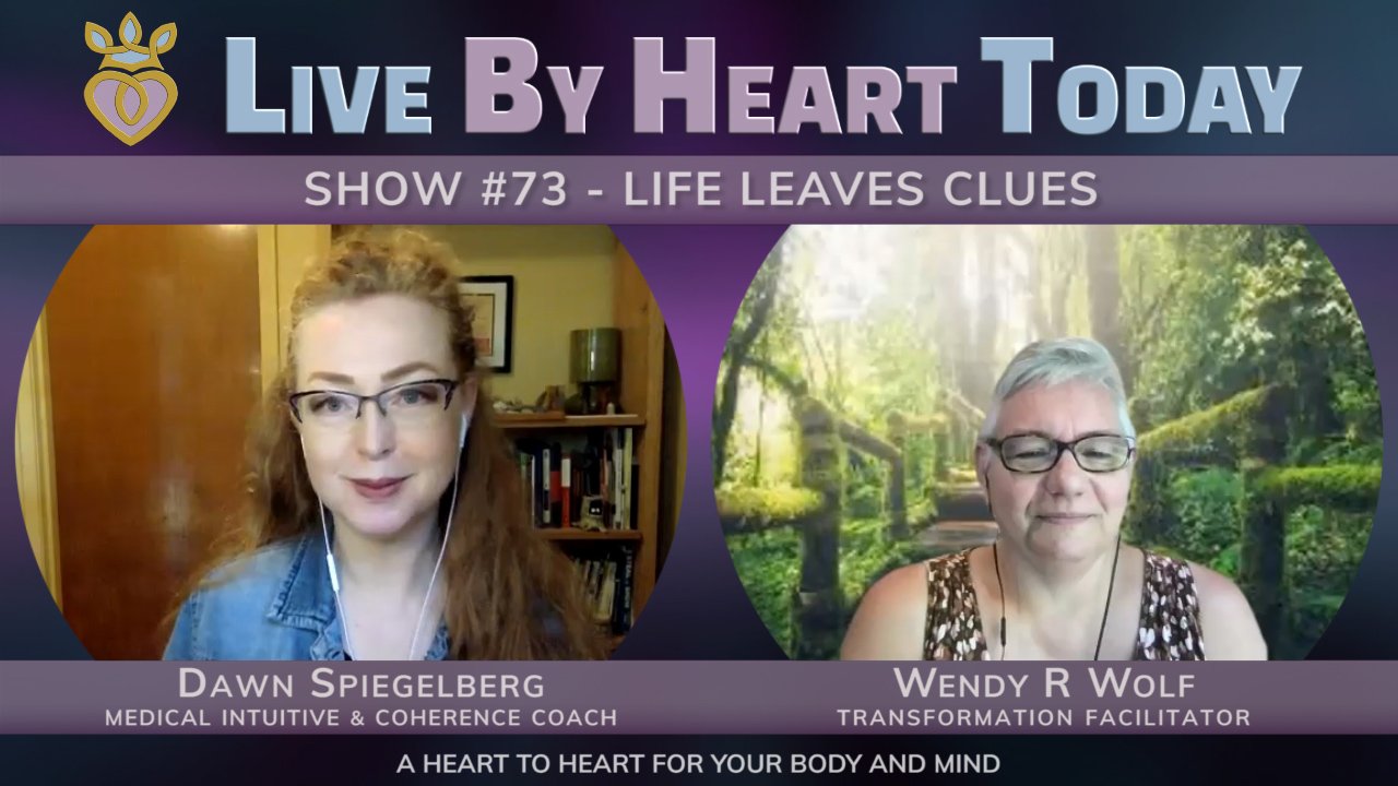 Show #73 | Life Leaves Clues
